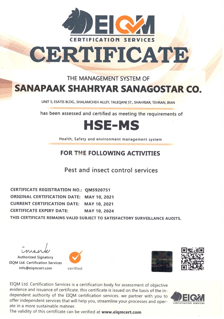 HSE-MS